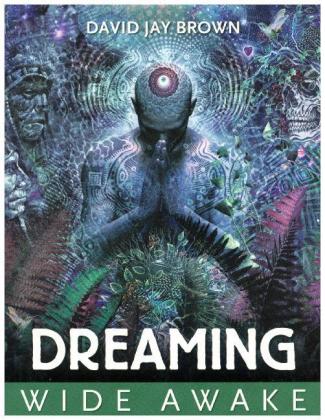 Dreaming Wide Awake Lucid Dreaming Shamanic Healing And Psychedelics David Jay Brown Paperback Abe Pl