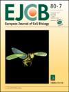 European Journal of Cell Biology